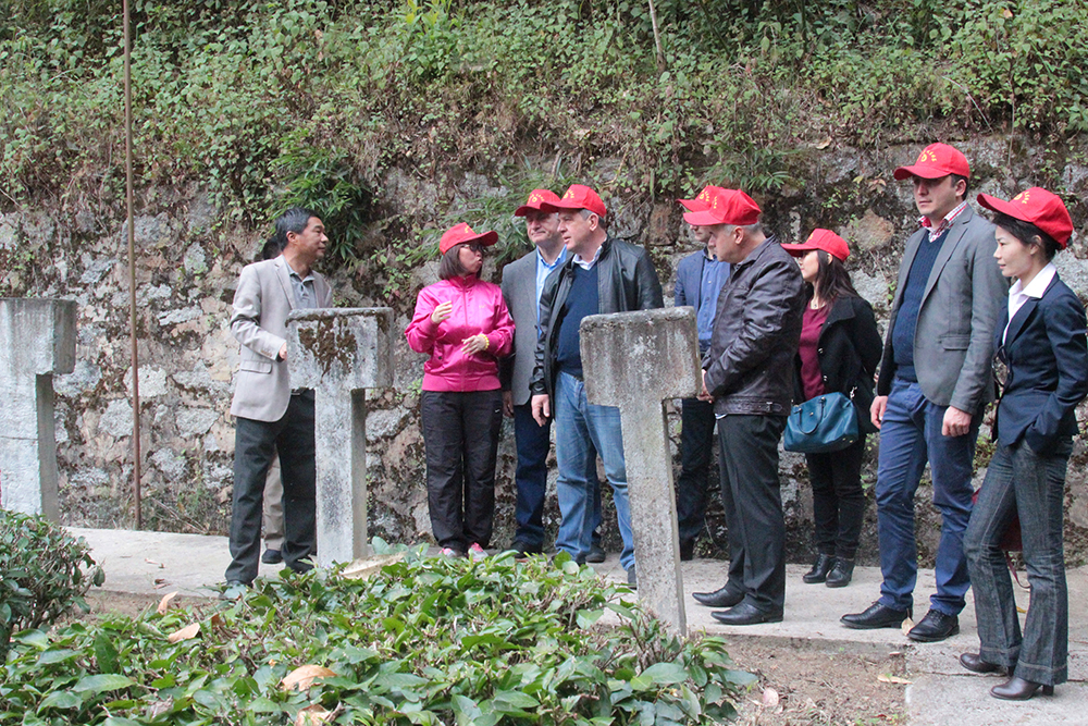 滇紅集團(tuán)常務(wù)副總裁蘇向宇向格魯吉亞代表團(tuán)介紹茶樹品種